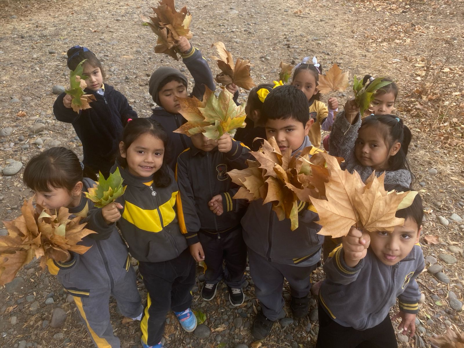 Niños interactuando con la naturaleza